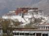 tibetas09_small.jpg