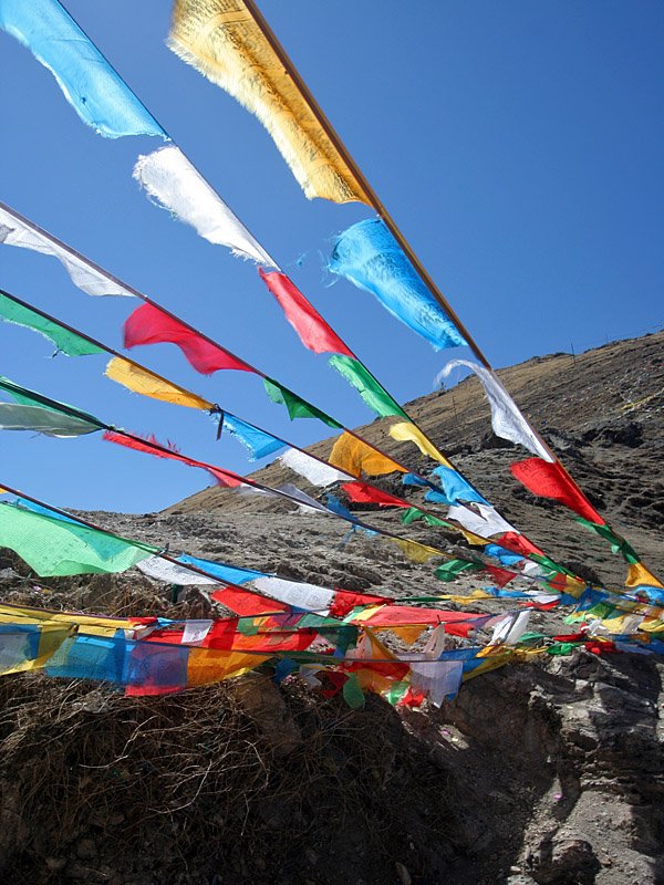 tibetas15.jpg