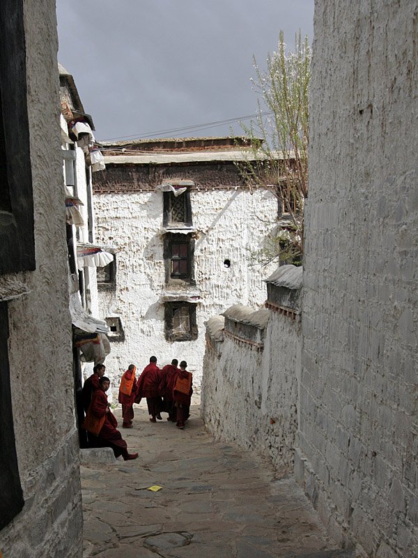 tibetas63.jpg